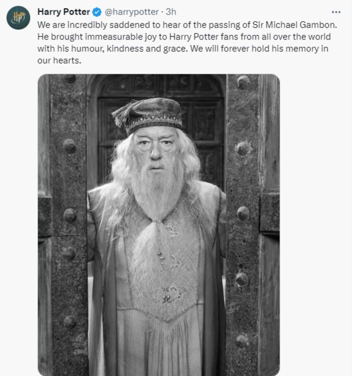 Michael Gambon dumbledore murió (2)