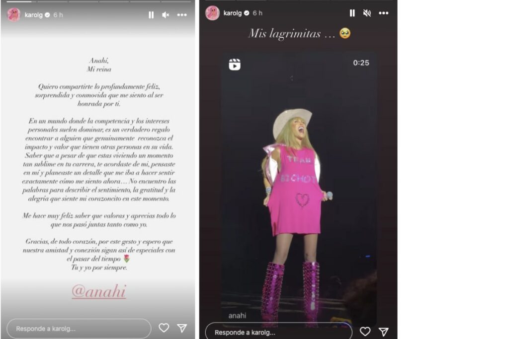 Los mensajes que Karol G le mandó a Anahí en sus historias de Instagram.